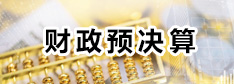 財(cái)政預(yù)決算